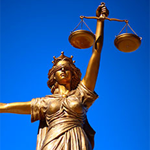Observatorio constitucional de normas procesales
